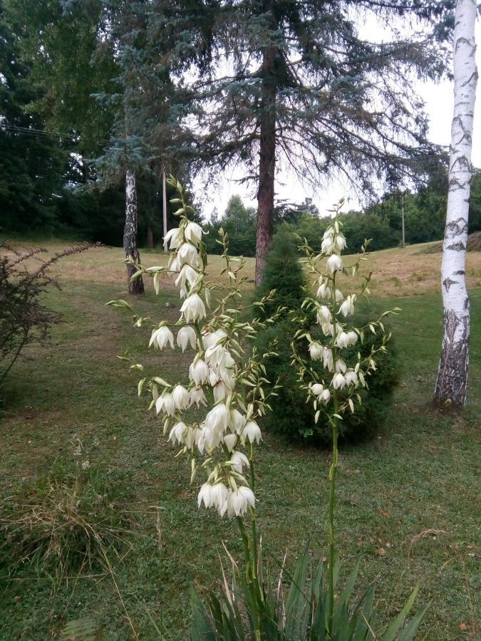 Takovo - Odmor U Selu Villa Gornji Milanovac Luaran gambar