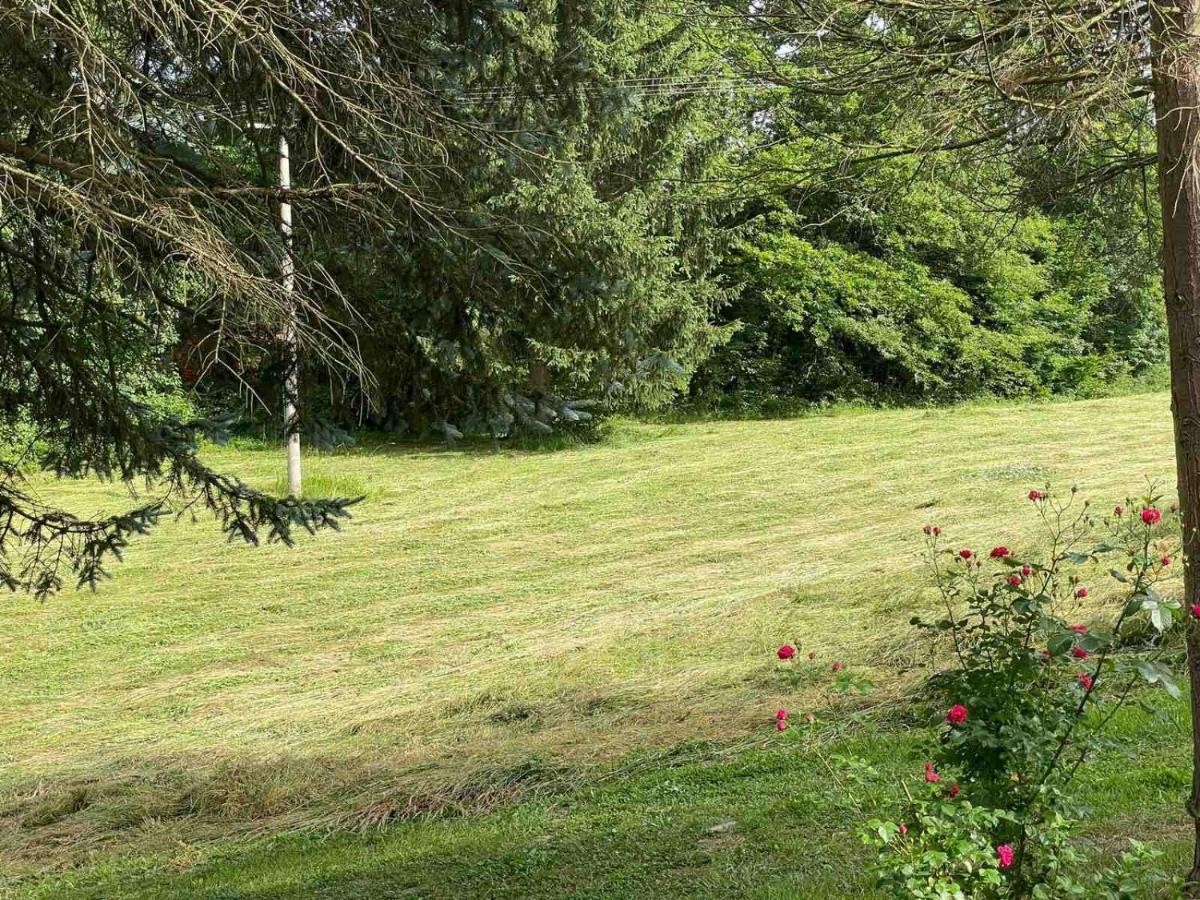 Takovo - Odmor U Selu Villa Gornji Milanovac Luaran gambar