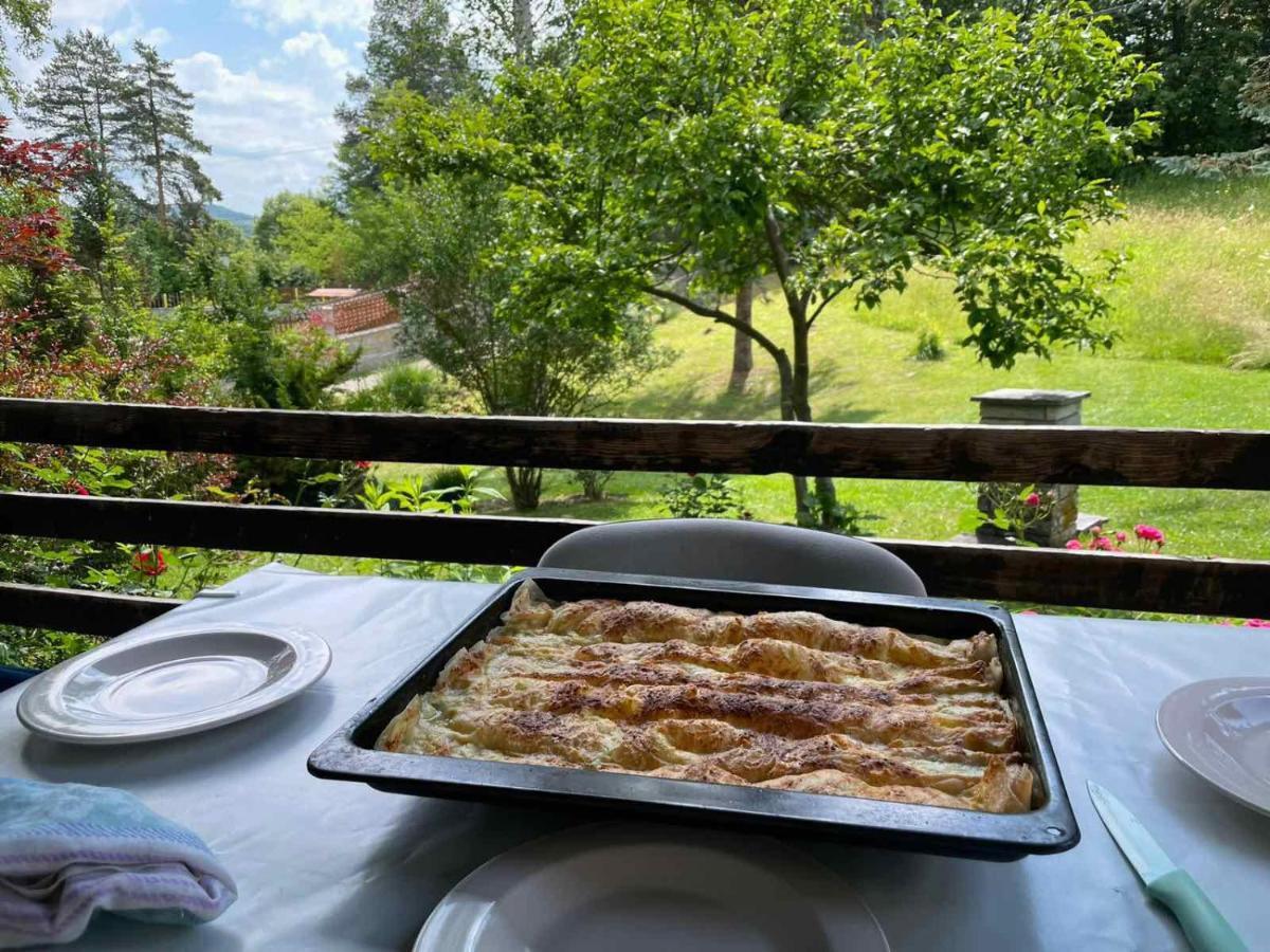 Takovo - Odmor U Selu Villa Gornji Milanovac Luaran gambar