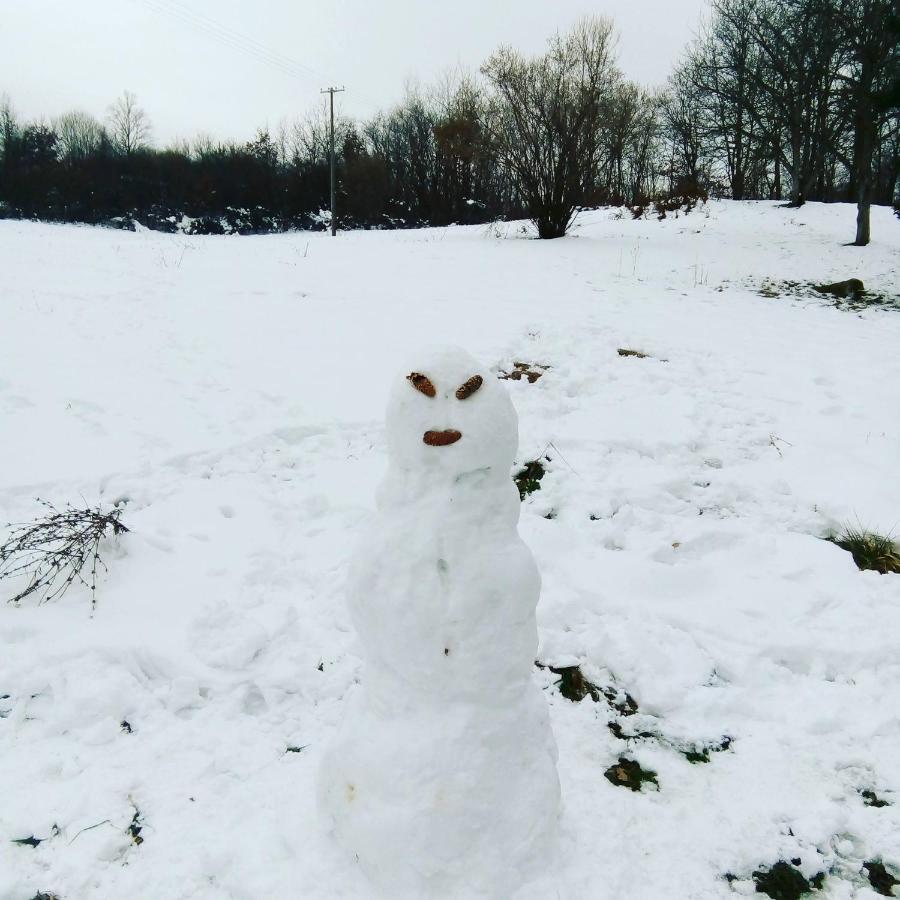 Takovo - Odmor U Selu Villa Gornji Milanovac Luaran gambar