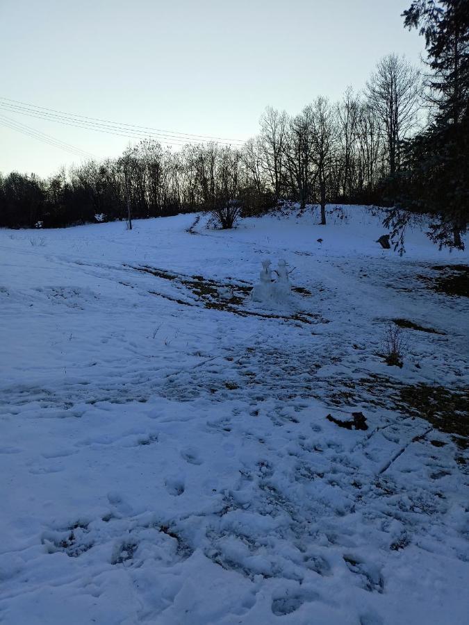 Takovo - Odmor U Selu Villa Gornji Milanovac Luaran gambar